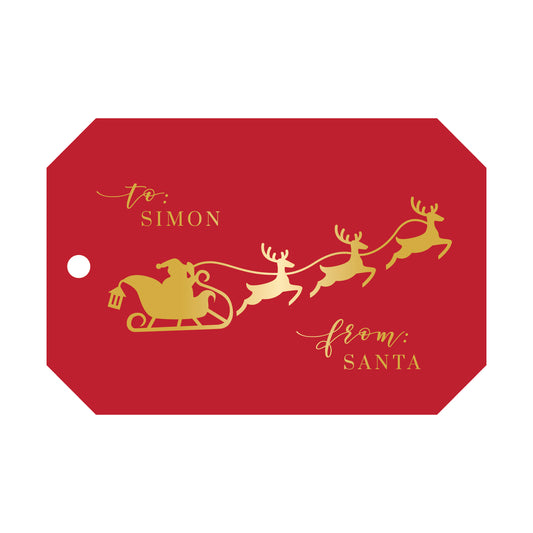 santa and his sleigh specialty tag - T201