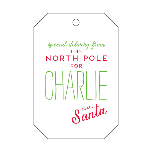 north pole special delivery specialty tag - T68